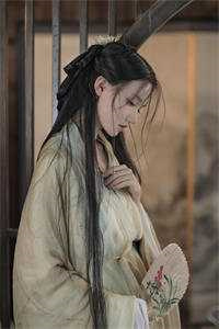 大将军和长公主